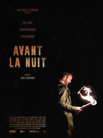 Before Night Falls movie poster