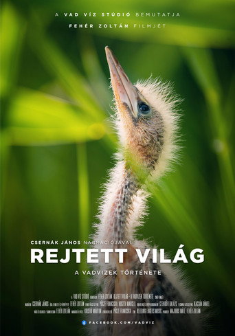 Hidden World: The Story of Hungary's Wild Waters movie poster