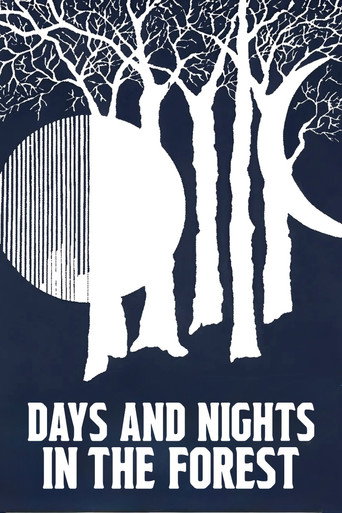 Days and Nights in the Forest movie poster