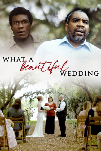 What A Beautiful Wedding movie poster