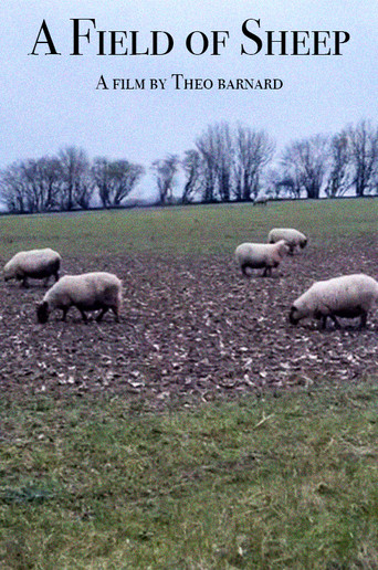 A Field of Sheep movie poster
