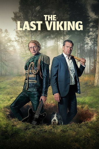 The Last Viking movie poster