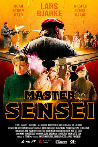 Master Sensei movie poster