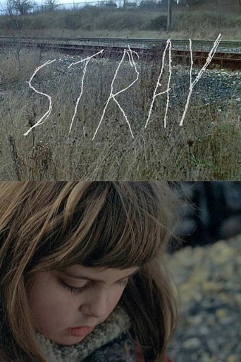 Stray movie poster