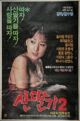 Mountain Strawberries 2 movie poster