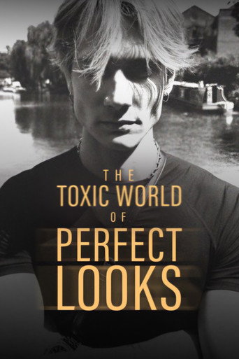 The Toxic World Of Perfect Looks movie poster