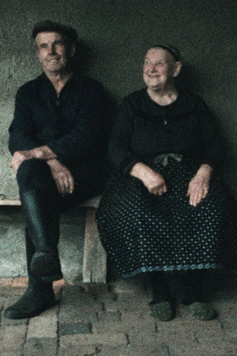 Ein Herbst im Ländchen Bärwalde movie poster