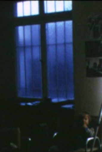 Home Movies 1971-81 movie poster