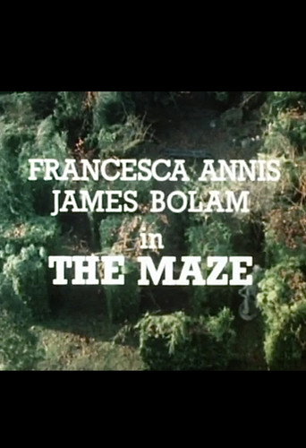 The Maze movie poster