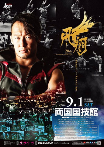 NOAH: Naomichi Marufuji 20th Anniversary Show movie poster