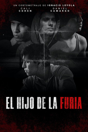 El hijo de la furia movie poster