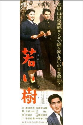 Young Tree movie poster