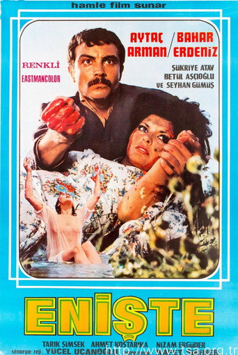 Enişte movie poster