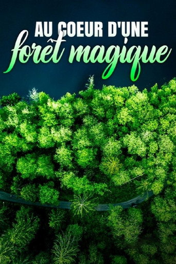 Au cœur d'une forêt magique movie poster