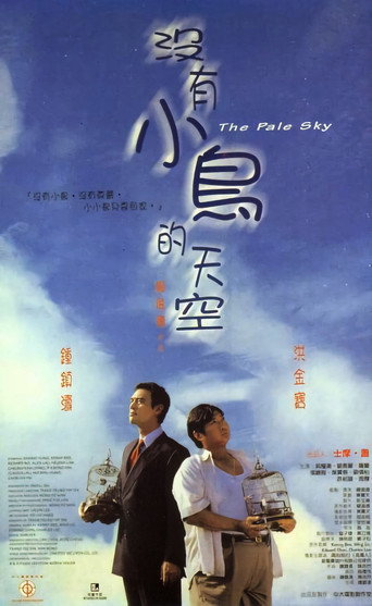 The Pale Sky movie poster