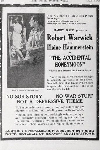 The Accidental Honeymoon movie poster