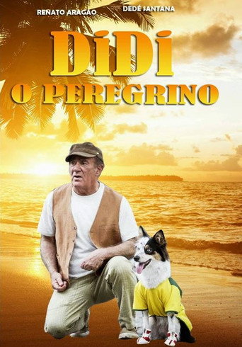 Didi the Pilgrim movie poster