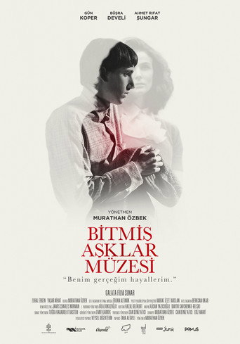 The Museum of Broken Love movie poster