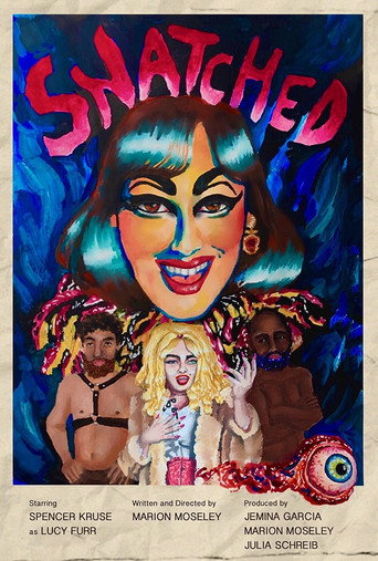Snatched movie poster