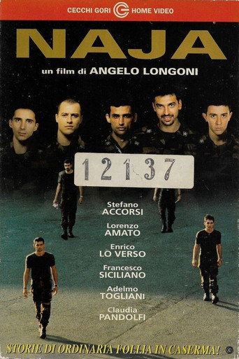 Naja movie poster