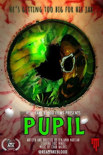 Pupil movie poster