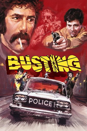 Busting movie poster