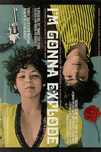 I'm Gonna Explode movie poster