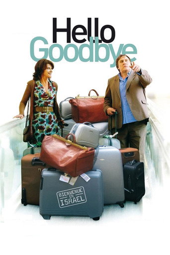Hello Goodbye movie poster
