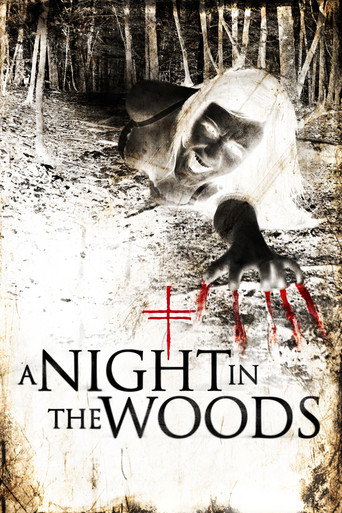 A Night in the Woods movie poster