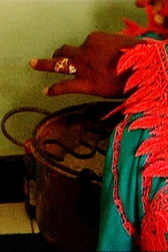 Les Sénégalaises et la Sénégauloise movie poster