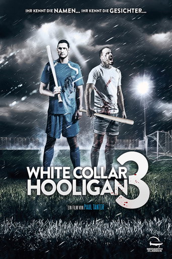 White Collar Hooligan 3 movie poster