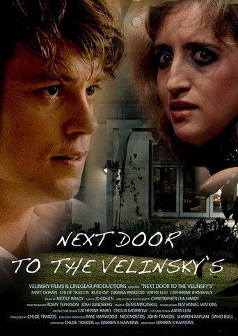 Next Door to the Velinsky's movie poster