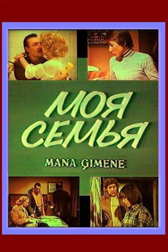 My Family movie poster
