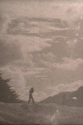 Chichibu Rest movie poster