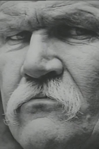 Harry Crews: Guilty as Charged movie poster