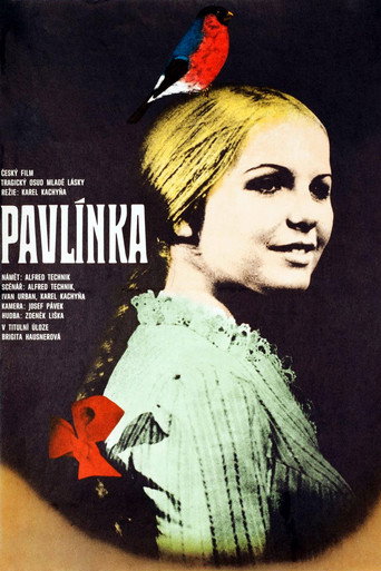 Pavlínka movie poster