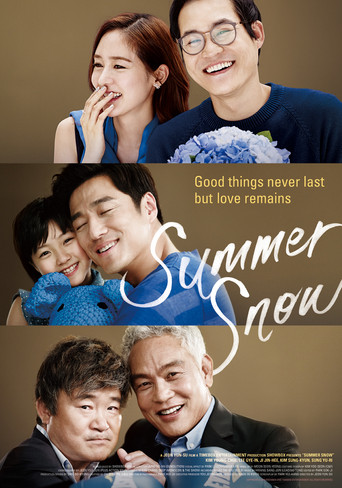 Summer Snow movie poster