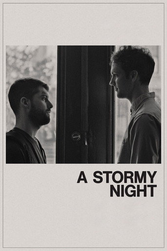 A Stormy Night movie poster