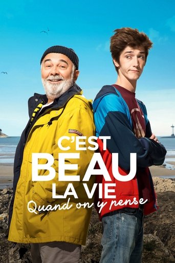 Accidental Family movie poster