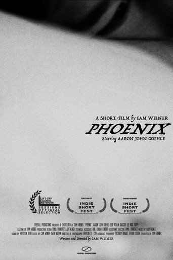 Phoenix movie poster