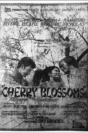 Cherry Blossoms movie poster
