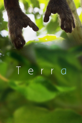 Terra movie poster