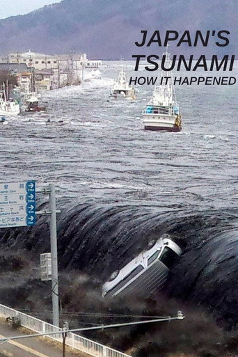 Japan's Tsunami: How It Happened movie poster