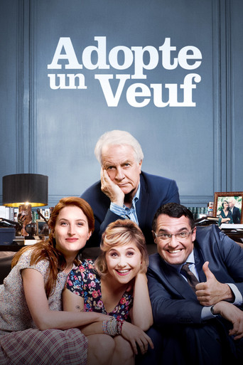 Roommates Wanted movie poster