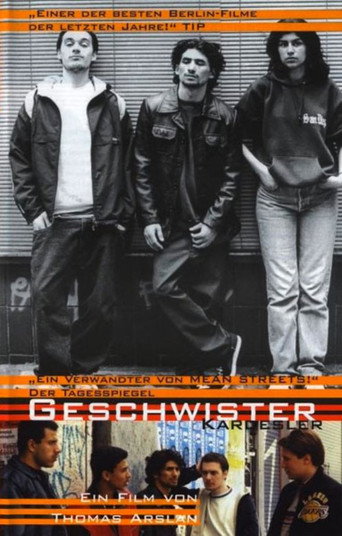 Brothers and Sisters movie poster