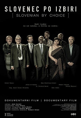 Slovenian by Choice movie poster