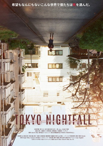 Tokyo Nightfall movie poster