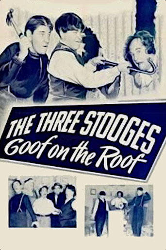 Goof on the Roof movie poster