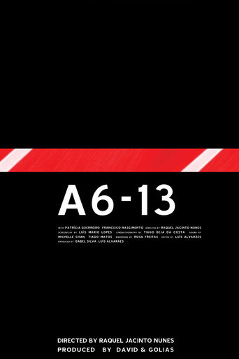 A6-13 movie poster