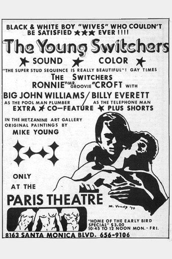 The Young Switchers movie poster